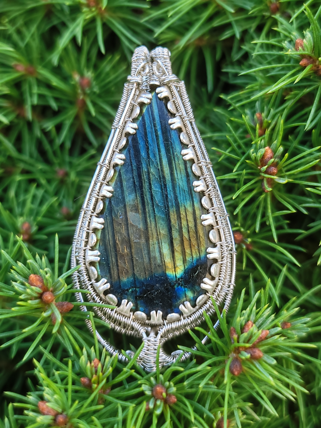 The Mirrorwood